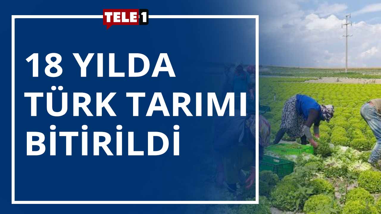 Türk ekonomisi üreten bir ekonomi olmaktan çıktı – KULİS