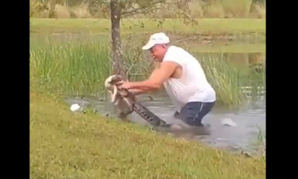 74 yaşındaki adam köpeğini, timsahın ağzından kurtardı!
