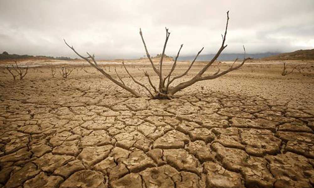 Trakya’da kuraklık krizi: Yüzde 30 – 50 arası kaybımız var!