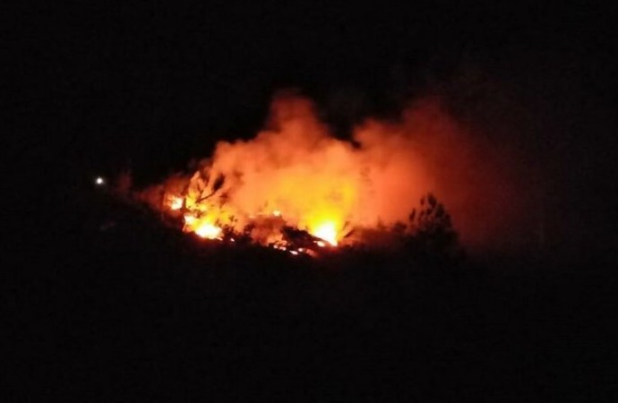 Adana’da aynı yerde 7’nci orman yangını