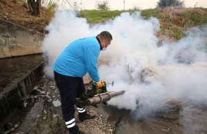 Büyükşehir sivrisinek ve haşereye karşı ilaçlama yapıyor