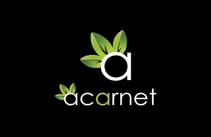 Kurumsal web tasarım ajansı : Acarnet