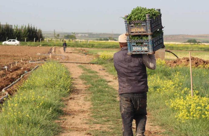 Çiftçiler 2 Şubat’ta Ankara’da buluşuyor: Gariban çiftçinin sesi duyulsun