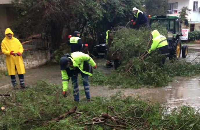 Fırtınadan kaynaklı olumsuzluklara belediye ekiplerinden anında müdahale