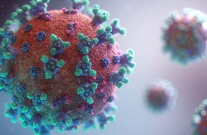 Mutasyona uğramış koronavirüse bir ilde daha rastlandı!
