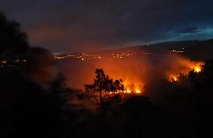 Trabzon’da iki ilçede orman yangını