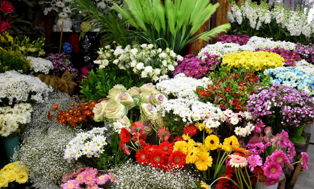Kayseri’de çiçekçiler, 14 Şubat’ta muaf tutulacak