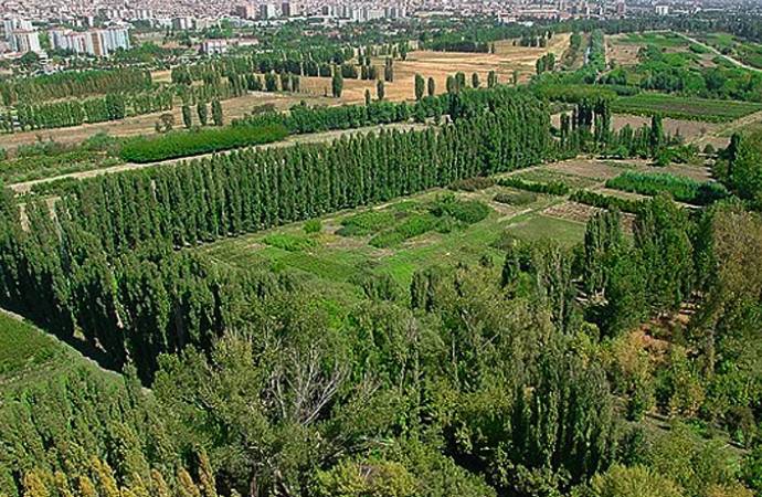 Mansur Yavaş, Atatürk Orman Çiftliği’ne sahip çıktı: ABB ihaleyi kazandı