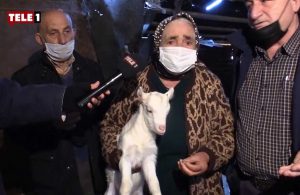 TELE1, Kanal İstanbul mağdurlarına mikrofon uzattı: Önce beni öldürsünler, sonra hayvanlarımı alsınlar