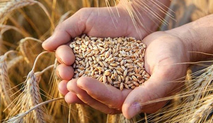 İthalatta rekor! Türkiye, 1.4 milyar nüfuslu Çin’den daha fazla buğday ithal etti
