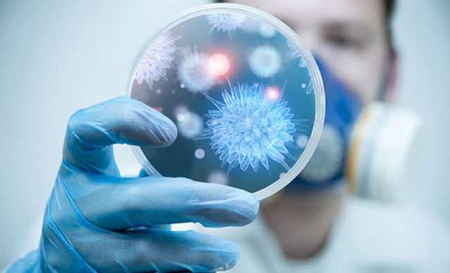 Koronavirüste yeni mutasyon alarmı: Farklı bir virüse dönüşebilir