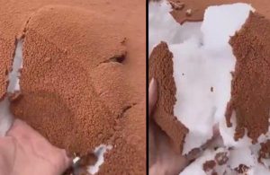 Suudi Arabistan’da karın üzerine yağan kum şaşkına çevirdi