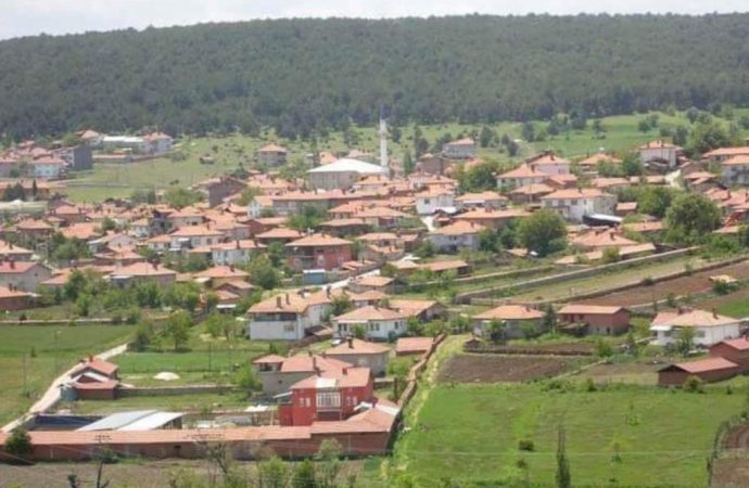 350 nüfuslu köye koronavirüs karantinası