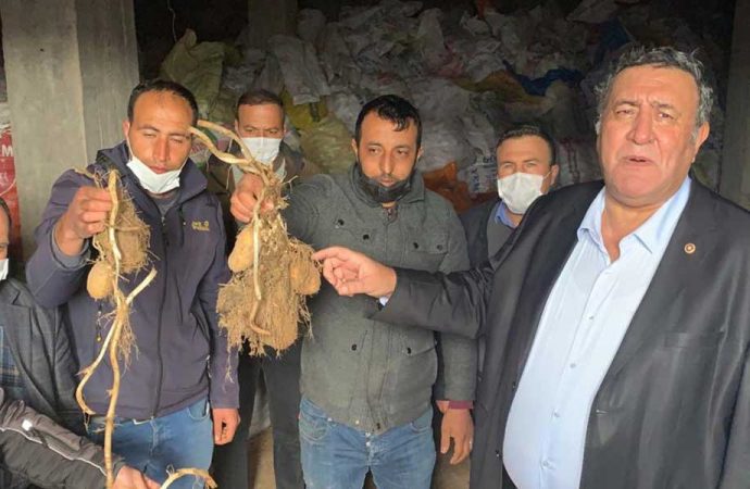 CHP’li Gürer: Patates üreticisi ‘Yandım’ diye feryat ediyor