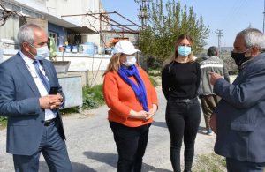 Tarsus Belediyesi’nin yerli üretim atağı ayçiçeği tohum ekimiyle devam ediyor