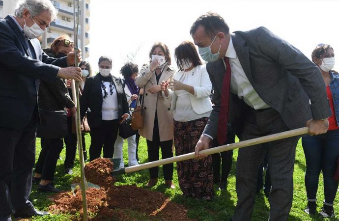 Mimozalar Yenişehir’de toprakla buluştu
