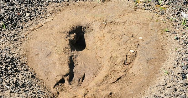 Kula-Salihli Jeoparkı’nda, 5 bin yıllık ayak izi ortaya çıktı