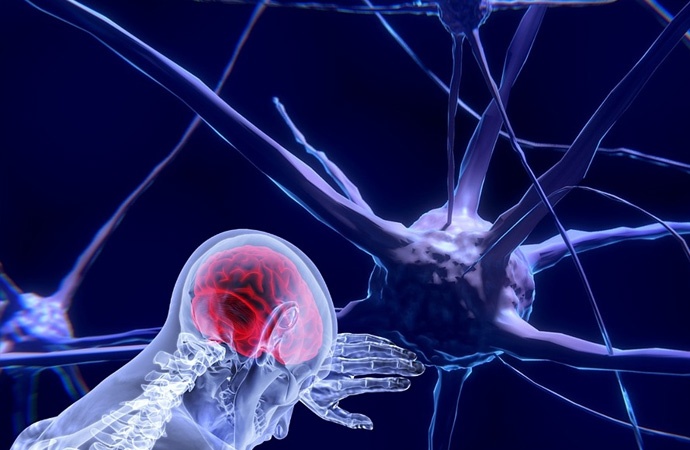Beyinde zombi nöronlar var, ölümden sonra harekete geçiyor