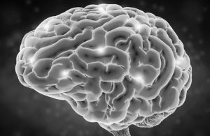 Şahin Ciner | Beyinlerin göçü gerçekleşmeden, beyin göçü bitmez!