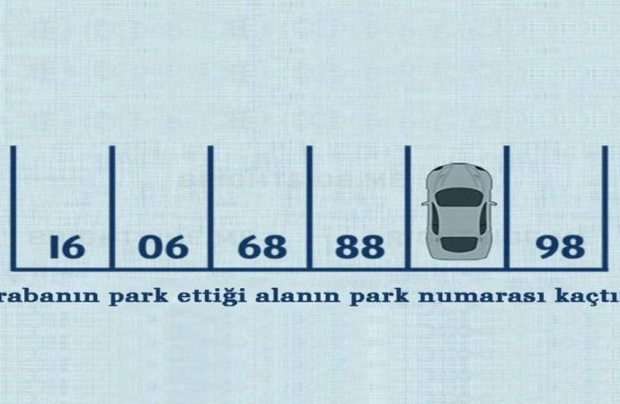 Arabanın park ettiği alanın park numarası kaçtır?
