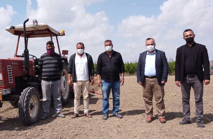 Tarsus Belediyesi’nin yerli tohum atağı Tarsus topraklarında hızla yayılıyor