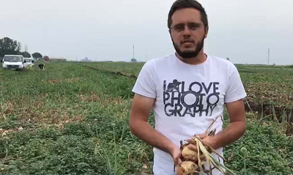 İsyan etti: Tarlaya ektik soğan, mahvetti çiftçiyi Erdoğan