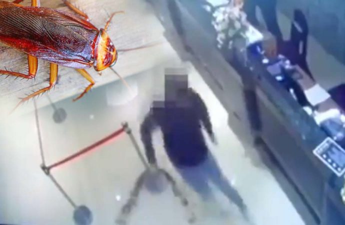 Çete üyeleri restorana hamam böceğiyle saldırdı