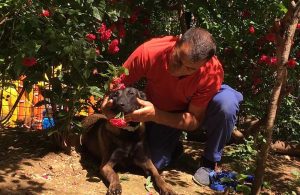 Sarıyer’in arama kurtarma köpeği Şilan afetlere hazırlanıyor