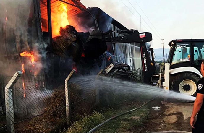 Manisa’da besi çiftliği yangını: 700 ton saman ve yem kül oldu