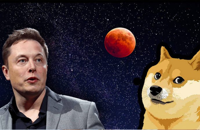 Elon Musk’a Doge şoku