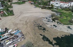 Marmara’yı deniz salyası bastı: Dip ölümü tehlikesi