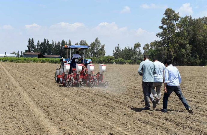 Tarsus Belediyesi’nin yerli tohum atağı soya fasulyesi ekimi ile devam ediyor