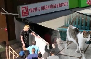 İstanbul’da yavru kedileri toplayıp yiyen Japon sınır dışı edildi