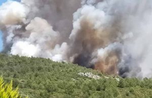 Kaş’ta orman yangını: Havadan ve karadan müdahale ediliyor