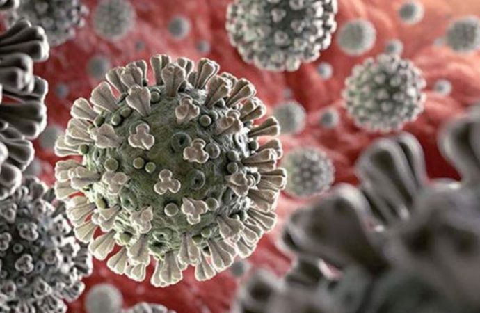 Koronavirüs kısıtlamalarının kaldırılmasına DSÖ’den tepki: Epidemiyolojik salaklık
