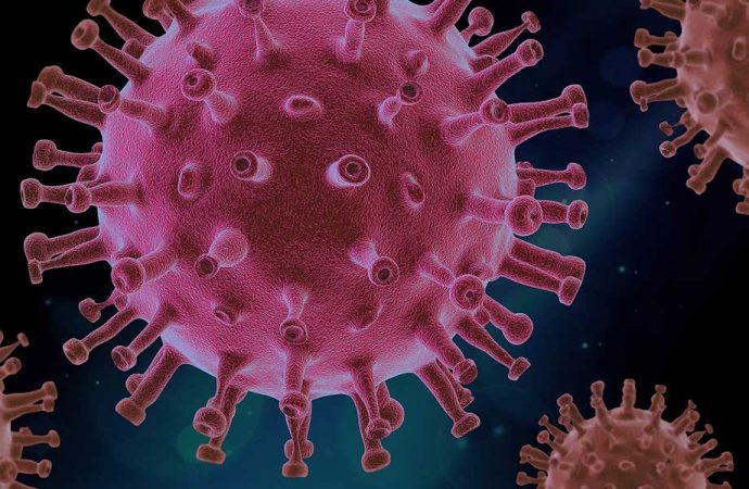 Araştırma açıklandı! Koronavirüs 20 bin yıl önce ortaya çıktı