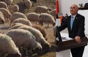 Meclis’te ‘gözaltına alınan koyun’ tartışması