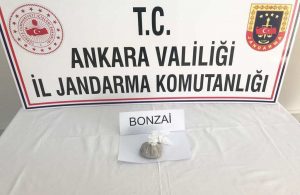 Jandarmadan narkotik uygulaması; 12 gözaltı