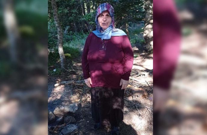Piknikte odun toplamaya çıkan kadın kayıp