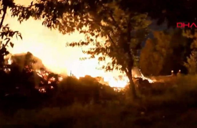 Ataköy’de ağaçlık alanda yangın