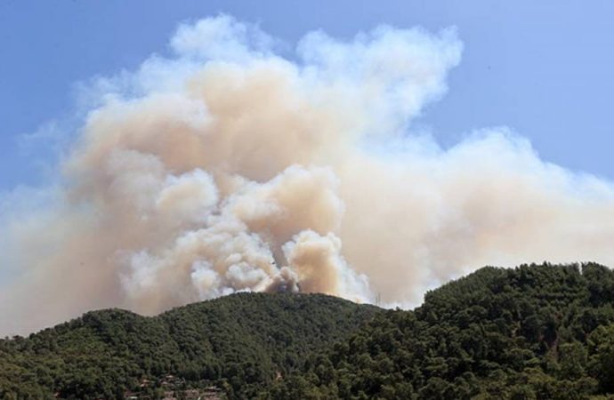 AFAD ülke genelindeki orman yangınlarına ilişkin açıklama yaptı