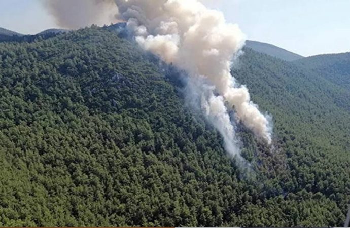 Muğla’daki orman yangınıyla ilgili tutuklama