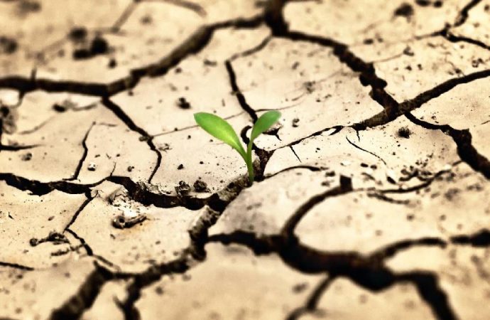 Uzmanlardan kuraklık uyarısı: Önümüzdeki 10 yılda su krizi yaşanacak