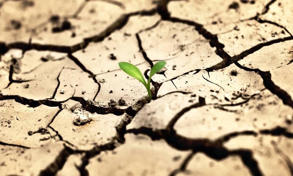 Uzmanlardan kuraklık uyarısı: Önümüzdeki 10 yılda su krizi yaşanacak