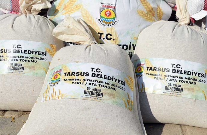 Çiftçiye ücretsiz 16 ton ata tohumu dağıtıldı
