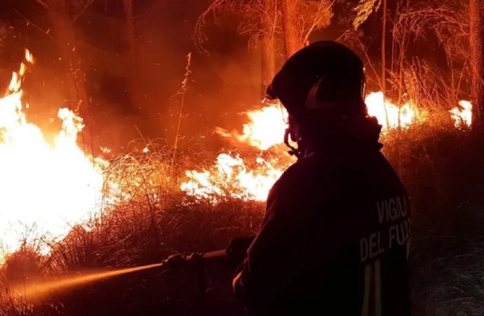 Güney Avrupa’da orman yangını başladı: Aşırı sıcaklar sebebiyle uyarı verildi