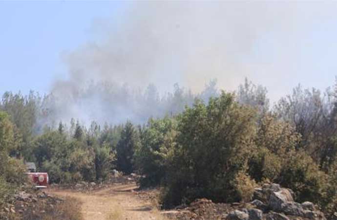 İzmir’de orman yangını: 5 hektarlık alan zarar gördü