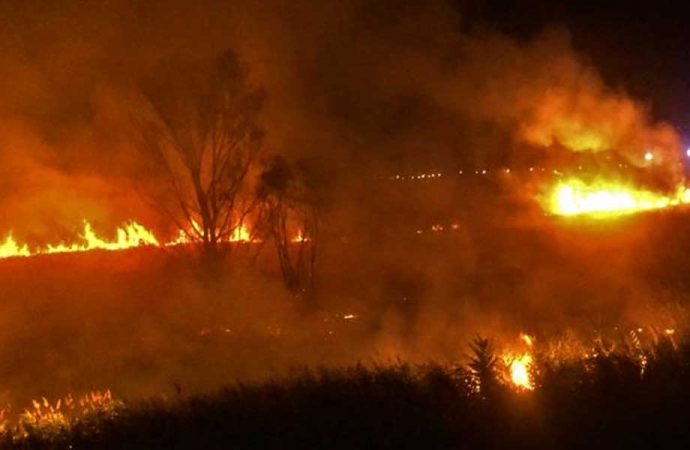 Burdur Gölü kenarındaki sazlıklarda yangın