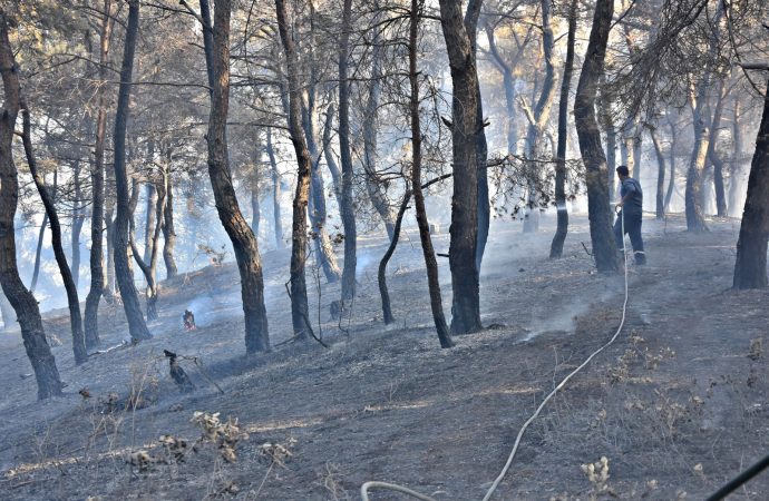 Otomobilde çıkan yangın ormana sıçradı, 3 hektar alan küle döndü