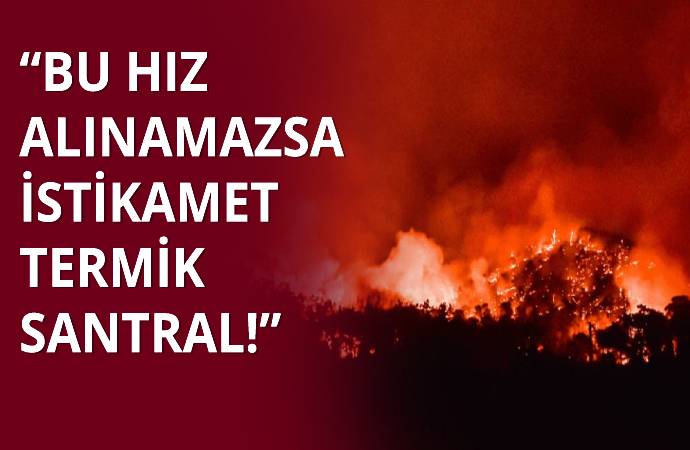 Milas Belediye Başkanı’ndan ‘hava müdahalesi’ uyarısı: Bu hız alınamazsa istikamet Termik santral!